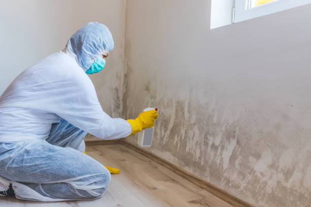 Hvac And Air Duct Mold Remediation inspection of HVAC system in Port Washington