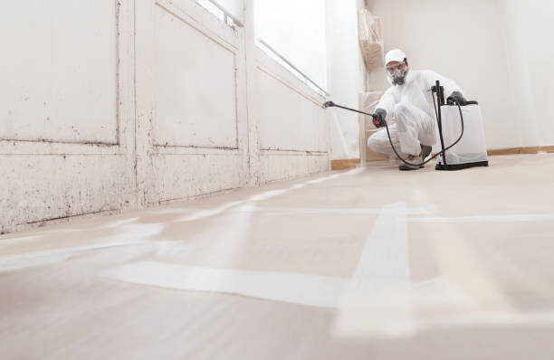 Black mold remediation team in Port Washington